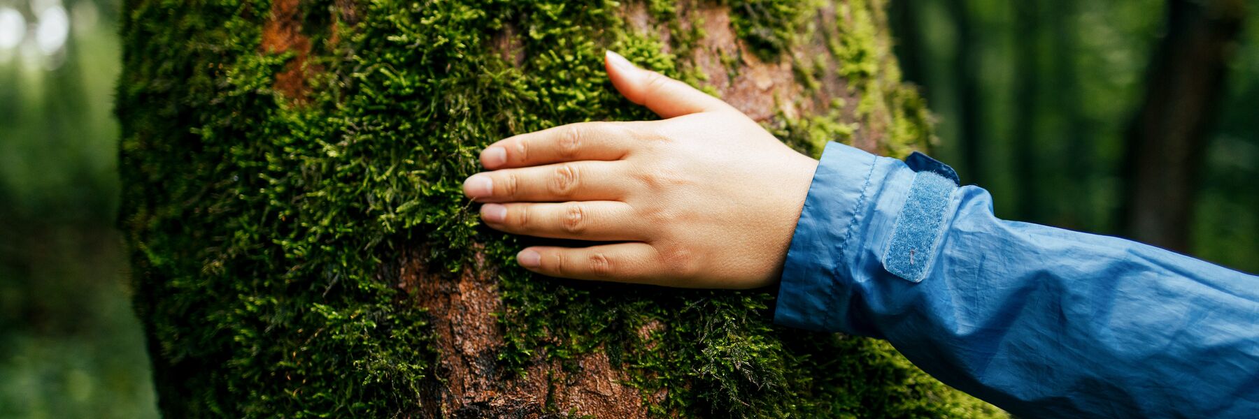 La photo montre une personne posant une main sur un tronc d'arbre